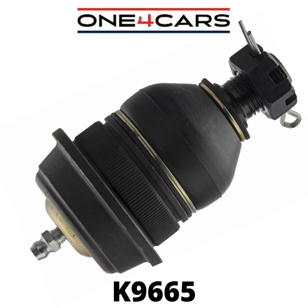 Imagen de K9665